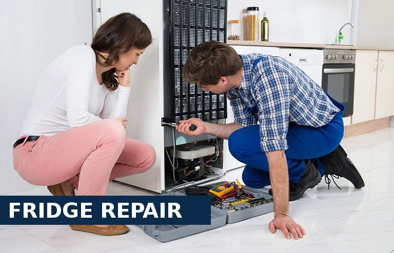 Fridge Repair Plaistow